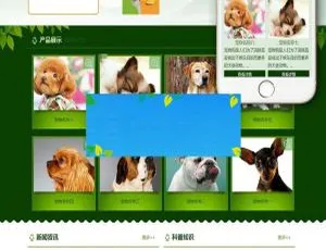绿色宠物狗宠物机构织梦DedeCMS网站模板（含手机移动端）-小文资源网