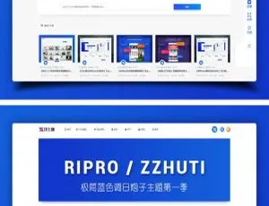 《惊艳！RIpro 子主题在 WordPress 中的 logo 美化秘籍》