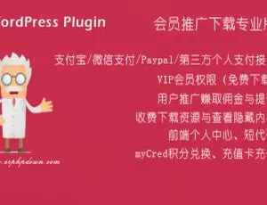 WordPress VIP必备！Erphpdown v11.3付费下载插件，含会员系统、三级分销与前端个人中心-小文资源网