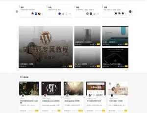 首发！RiPro v8.1 版真正日主题，缓存器功能修复