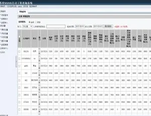 探秘雷速工资查询系统v7.14-小文资源网