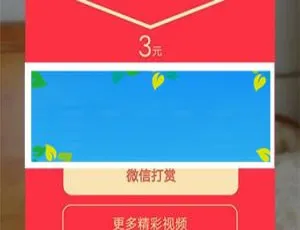 惊爆！二开带试看视频打赏平台源码 含盒子 个人免签支付 速下-小文资源网