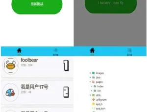 Java SpringMVC 与 H5 打造飞翔小鸟微信小程序源码-小文资源网