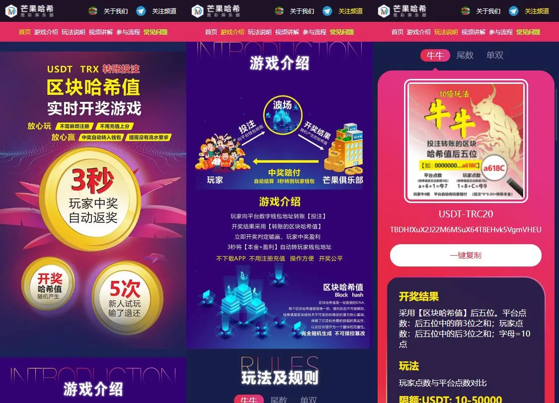 网站源码,哈希值竞猜源码纯合约的返奖辛运哈希源码
