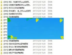 限时免费！110套HTML5手机网站模板源码一键打包下载-小文资源网