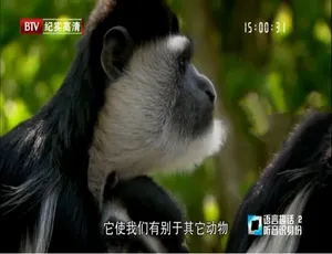 1080P 4集英语中字！纪录片《语言趣话/语言星球》百度网盘资源