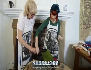 1080P 6集！中英双字原声配音纪录片《历史的针脚》百度网盘资源