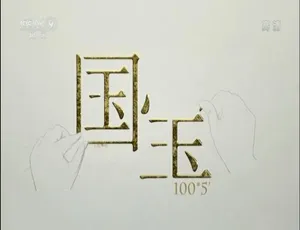1080P 全两季 50 集！国语配音中字《如果国宝会说话》百度网盘资源