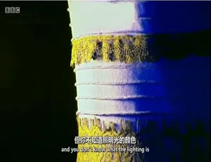 720P 3集！探秘纪录片《色彩的奥秘》 中英双字 百度网盘资源