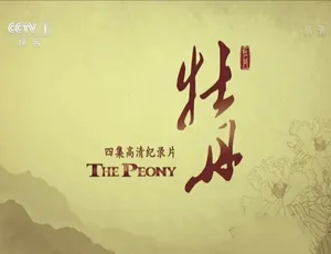 1080P 4集国语配音中字《牡丹》纪录片百度网盘资源