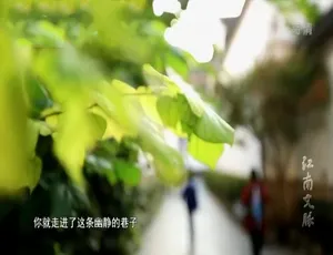 1080P全50集！国语配音中字《江南文脉(诗词篇) 2018》纪录片百度网盘资源