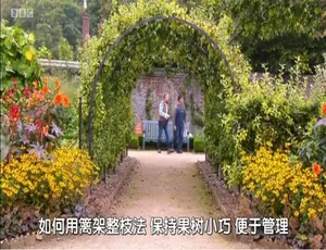 720P《大不列颠园艺复兴》全2季20集 英语配音中文字幕 百度网盘资源