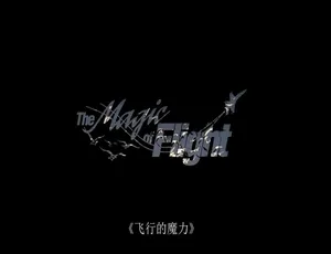 1080P/720P 英语配音中字1集：纪录片《飞行的魔力》百度网盘资源