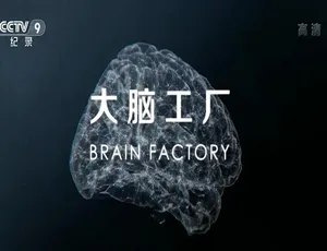 1080P 国语配音中字1集《大脑工厂》纪录片百度网盘资源-小文资源网