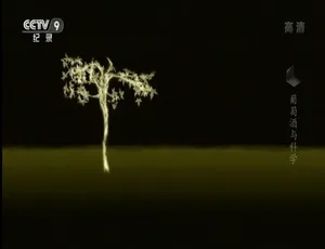 1080P 国语配音中字！纪录片《葡萄酒与科学》百度网盘资源