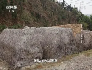 1080P 国语配音中字！纪录片《造纸说 纸的故事》 百度网盘资源