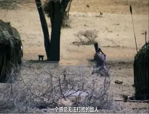 15年终结赤贫！纪录片《别恐慌》720P 1集英语配音中字 百度网盘资源