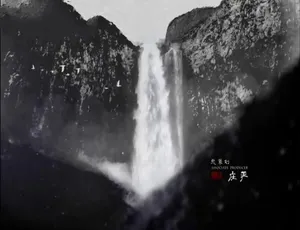 1080P 5集国语配音中字《人参》纪录片百度网盘资源