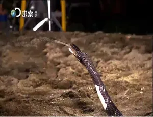 720P《时间分解》第二季全8集！英语配音中字 百度网盘资源