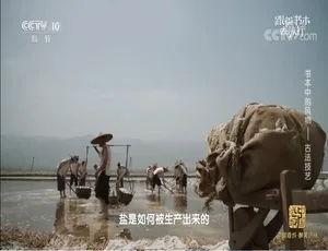 720P 国语中字！2021 全年 266 集纪录片《跟着书本去旅行》百度网盘资源-小文资源网