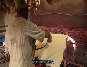 1080P 英语中字《生活科技大解密》第10季20集 百度网盘资源
