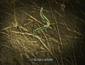 1080P 英语中字！纪录片《体内的怪物/病魔缠身》第二季 10 集 百度网盘资源-小文资源网