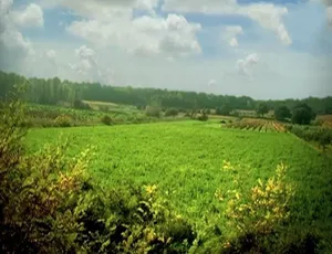 1080P《微观小世界/昆虫总动员》第一季78集无对白动画百度网盘资源-小文资源网