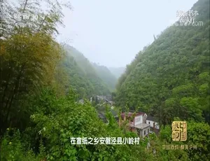 2022 年 6 月 22 集国语中字 720P《跟着书本去旅行》纪录片百度网盘资源