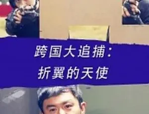 2016动作犯罪大片《跨国大追捕：折翼的天使》 全1集5G 百度下载-小文资源网
