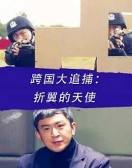 2016《跨国大追捕：折翼的天使》[动作/犯罪][汉语普通话/全1集5G][百度下载]