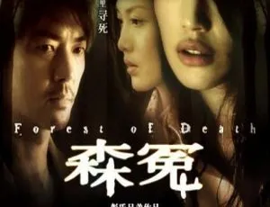 2007 香港惊悚片《森冤》国语中字 1.40GB MKV 百度网盘资源-小文资源网