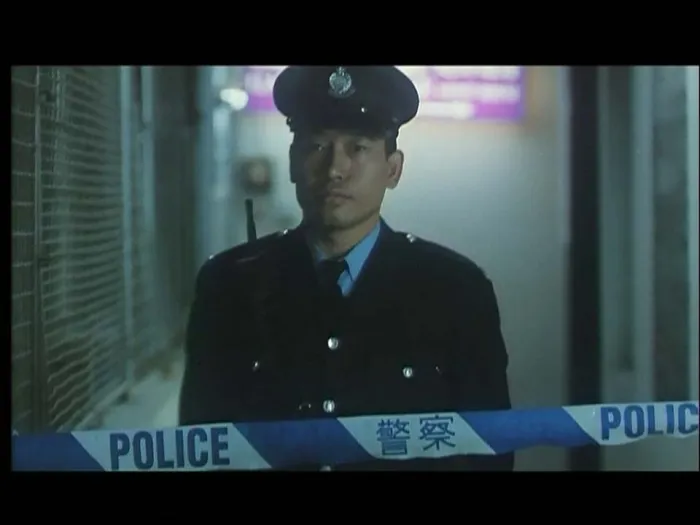 [1998][香港][追凶20年][国粤语无字][MKV][600MB][百度盘]