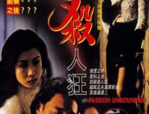 1995 香港惊悚片《四级杀人狂》粤语中字 1.13g mkv 资源
