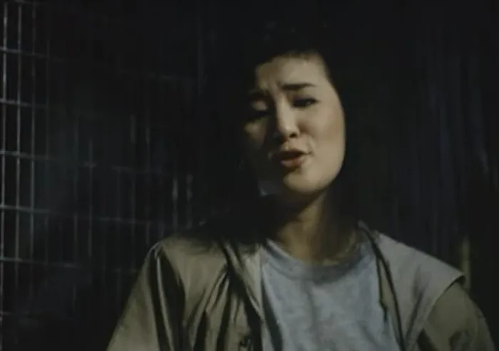 [1989][香港]《贼公差婆》[国语中字][标清MP4_DVDRipP_390M]