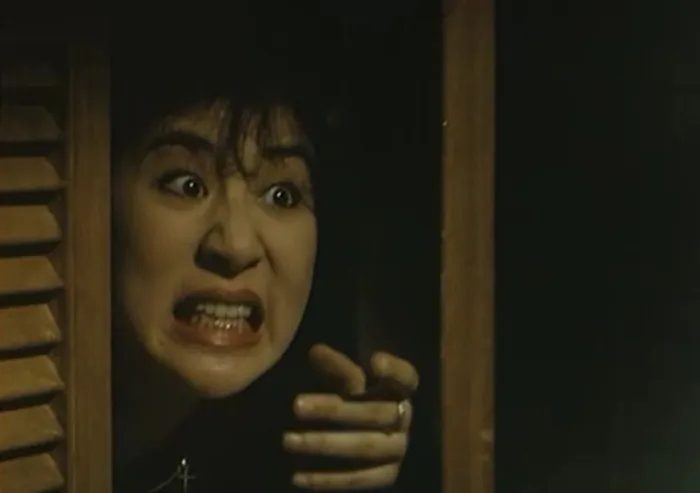 [1989][香港]《贼公差婆》[国语中字][标清MP4_DVDRipP_390M]