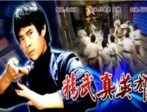 2006 中国大陆《精武真英雄》国语中字 5.14GB 百度网盘资源