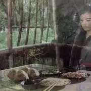 2016《九纹龙史进之替天行道》[剧情/动作][汉语普通话/全1集4.83G][百度下载]