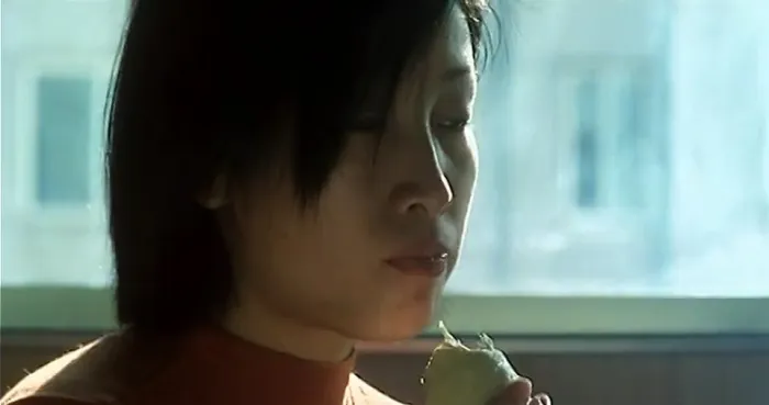 [2000][中国][榴莲飘飘][国语无字][MKV][700MB][百度网盘]