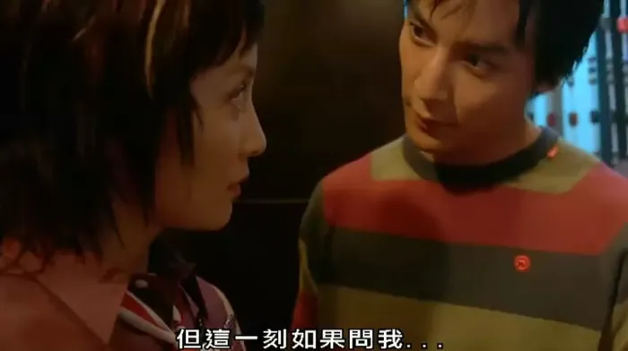 [2004][香港][公主复仇记][国语中字][RMVB][383MB][百度网盘]