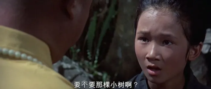 [1976][香港][少林寺十八铜人][国语][MKV][7.39GB][百度网盘]