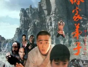 1985 中国经典《少林俗家弟子》国语无字 TS 版 2.79GB 百度网盘资源