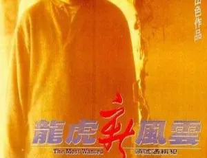 1994 香港经典《龙虎新风云》国语中字高清 MKV 2.03GB 百度网盘资源