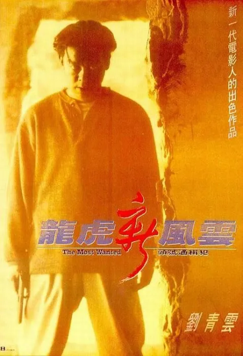[1994][香港][龙虎新风云][国语中字][MKV][2.03GB][百度网盘]