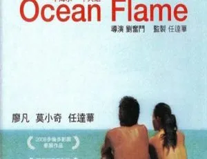 2008香港电影《一半海水一半火焰》国粤双音轨完整未删减版 2.34GB 百度网盘资源