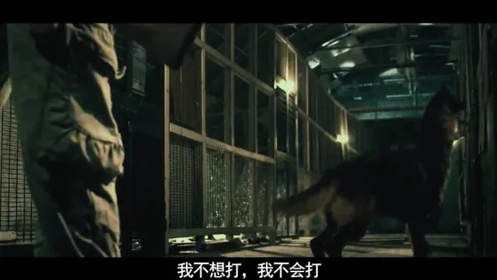 [2013][香港]《爆三俏娇娃_霹雳囧花》[粤语中字][周秀娜_卢颂之_余晓彤][mp4_509m]