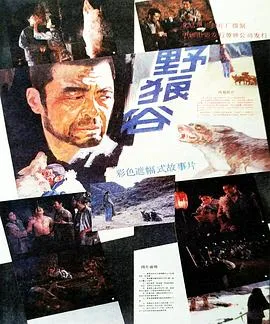 [ 1989 ][ 中国内地 ]《野狼谷》(谢钢，谷子，实源，萨日娜) [1集全][国语中字][MP4_400M]