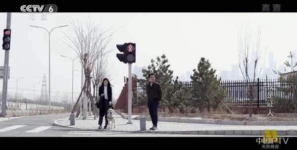 [2015][中国大陆]《我是证人》[国语中字][5.69GB][百度网盘]