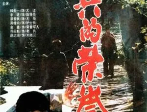 1995 中国大陆经典《士兵的荣誉》1.15GB 百度网盘资源速享-小文资源网