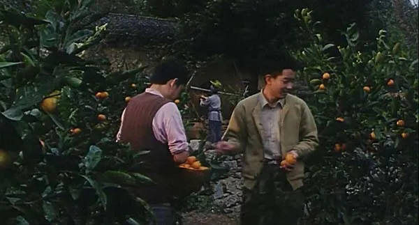 [1995][中国大陆]《士兵的荣誉》[1.15GB][百度网盘]