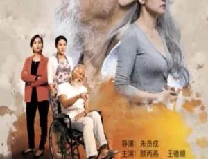 2016 中国大陆电影《盛先生的花儿》4.66GB 百度网盘资源